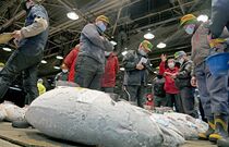 宇都宮市中央卸売市場で初競り