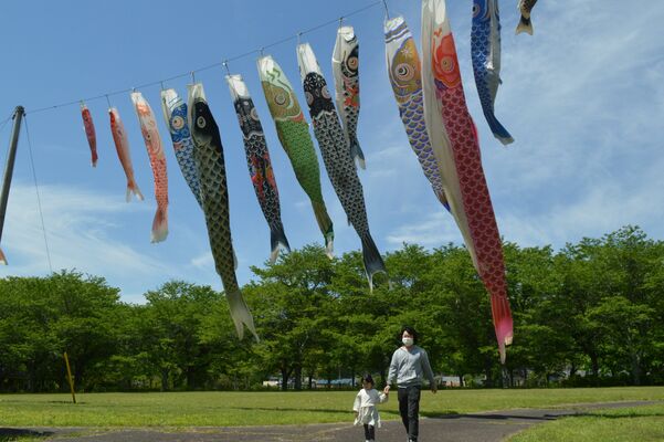 根古屋森林公園内に泳ぐ色とりどりのこいのぼり