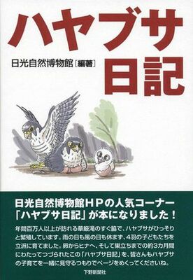 ハヤブサ日記