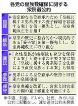 自維、公約に養子容認案　