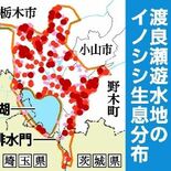 渡良瀬遊水地のイノシシ、初の1000頭超え　24年度の捕獲協議会調査　…