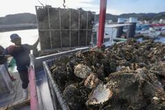 広島県のカキ被害、300億円