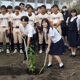 宇中女と宇中高、伝統のサクラ“２世”を植樹　グラウンド整備で伐採の「水上太白桜」　宇大協力で接ぎ木から苗木
