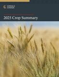 Cereals Canada、2025年新小麦作柄報告(2025 New Wheat Crop Report)を発表