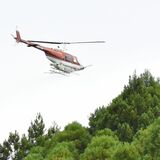 塩谷の町有林でスギ花粉防止にヘリから薬剤散布　東農大、全国で例ない大規模実証実験