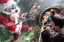 大水槽にサンタ登場　大田原