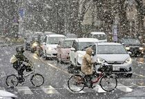 県内全域で降雪
