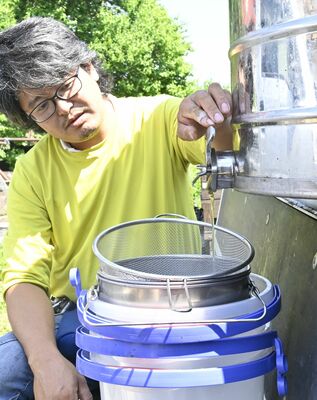 遠心分離機にかけ、淡い琥珀色の蜂蜜を取り出す小野田さん