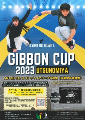 「ＧＩＢＢＯＮ　ＣＵＰ」のチラシ