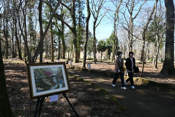 自然散策を楽しめる「平地林エリア」