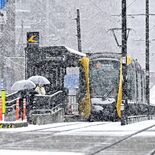 雪化粧の街進むＬＲＴ　ダイヤ乱さず安全運行