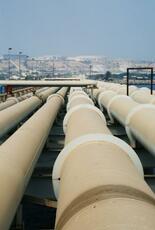 「面白半分」で島攻撃も