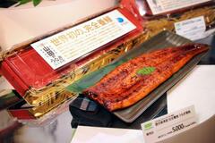 イオンで完全養殖ウナギ試験販売