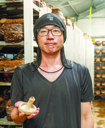 ＜220＞肉厚で大ぶり、優しい味を消費者へ　JAしおのやの「菌床シイタケ」