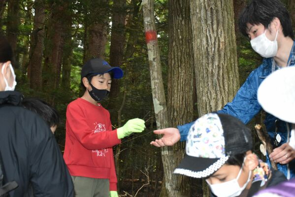箱の森プレイパークで開かれたキノコの観察会