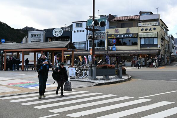 観光客の回復により地価が上昇した東武日光駅周辺。訪日客の姿も目立つ＝日光市