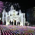 秋に現れた光の大藤　香りも再現「いい匂い」　あしかがフラワーパークのイルミネーション、来年２月まで