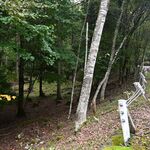 遺体は遭難男性と確認、死因も判明　那須塩原のオリエンテーリング事故　栃木県警