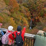 那須・駒止の滝周辺で紅葉見頃　赤や黄色と青白い滝つぼ共演　月末にかけピ…