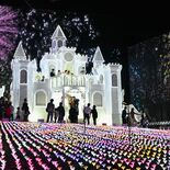 秋に現れた光の大藤　香りも再現「いい匂い」　あしかがフラワーパークのイ…