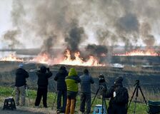 渡良瀬遊水地でヨシ焼き