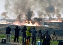 渡良瀬遊水地でヨシ焼き