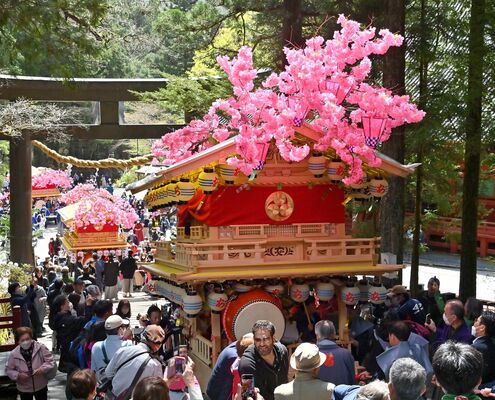 観光客でにぎわう参道を駆け上がる花家体＝17日午前11時20分、日光市山内