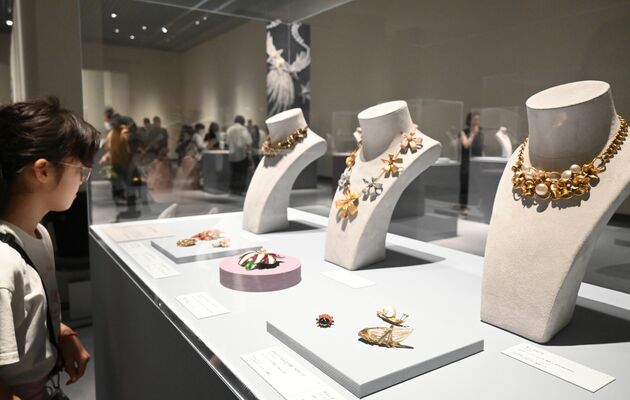 内覧会で作品に見入る来場者＝７日午後、宇都宮市長岡町