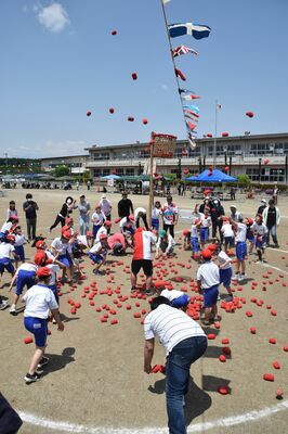 湯津上小で行われた閉校記念競技の玉入れ