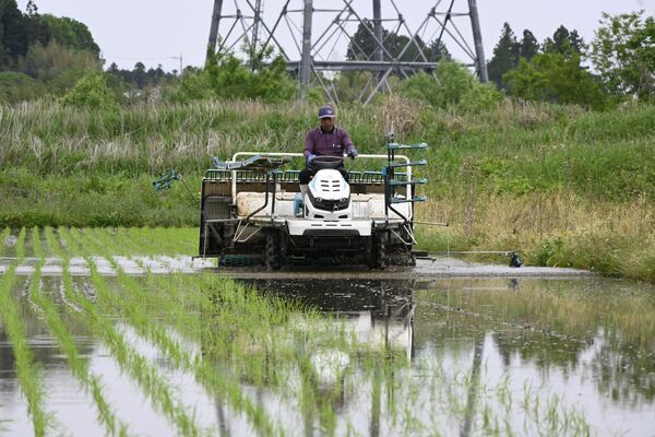 夢ささらの田植え作業