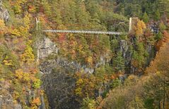 つり橋から望む断崖の錦　日光・瀬戸合峡で紅葉が最盛期　例年より遅く