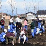 LRT連携、桜あふれる堤づくりへ　芳賀北小児童らが“一役”　「すごく楽…