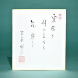 老師のことば（13）寒暖の　峠に立ちて　花競う