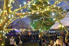 あたり見渡せば夢うつつ