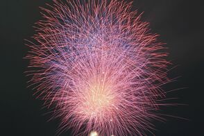 初夏の夜空に大輪1300発　鹿沼で「さ…