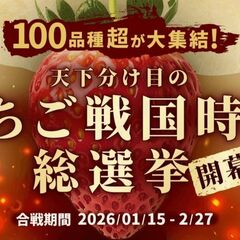 投票イベント「いちご戦国時代総選挙」　県産とちあいか健闘も、頂点への道険しく　「愛」の連打が鍵に