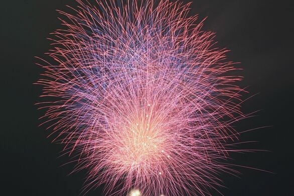 初夏の夜空に大輪1300発　鹿沼で「さ…