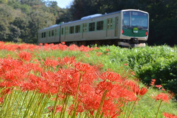 沿線の豊かな自然を駆け抜ける烏山線のアキュム