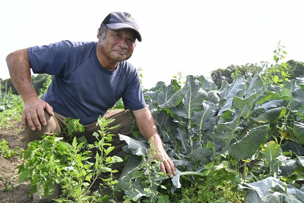 冬ブロッコリーの「指定産地」になったことを喜ぶ舘野さん=25日午後、野木町