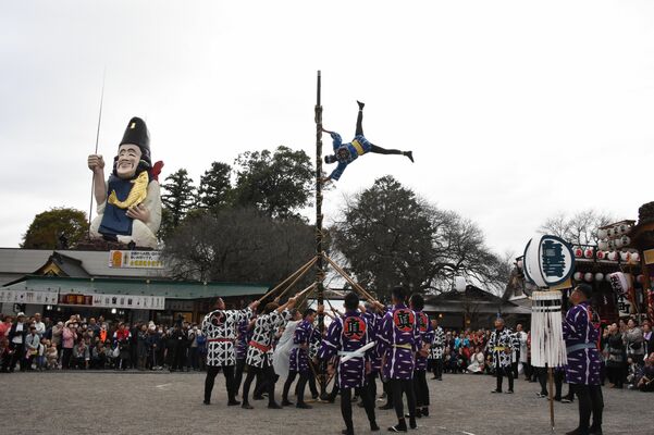 参拝者の歓声が上がったはしご乗り