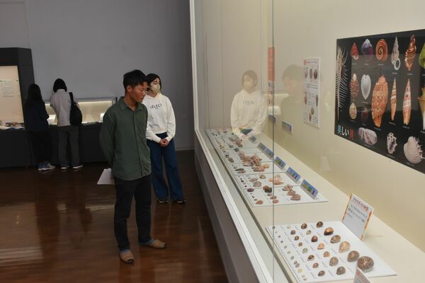 開催されている展示会