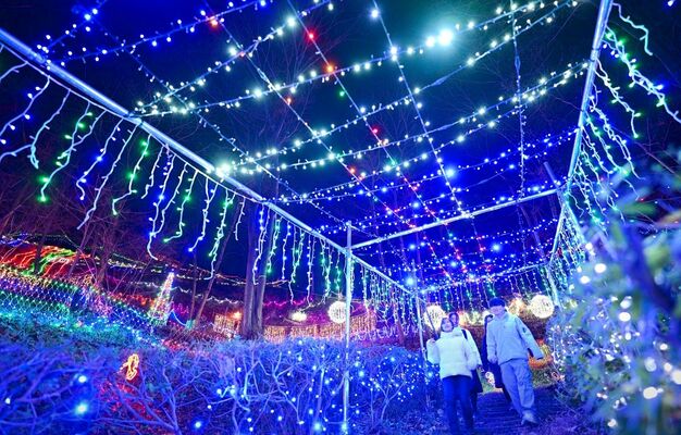 色とりどりのLEDが冬の夜を幻想的に演出する「妙義山天空のイルミネーション」