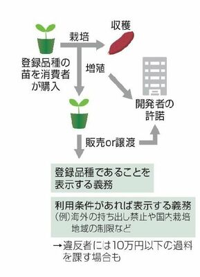種苗法のイメージ図

