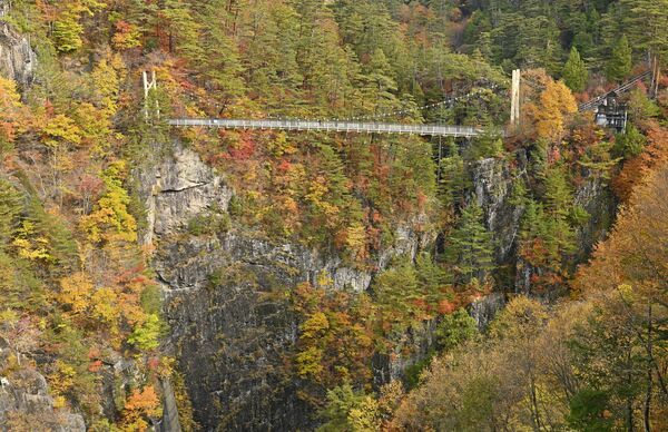 渓谷を色鮮やかに染める瀬戸合峡の紅葉=6日午後0時20分、日光市川俣