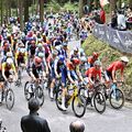 宇都宮ジャパンカップ・ロードレース　世界トップの走りに７万6000人熱狂　ブリッツェン岡が38位【写真多数】