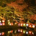 夜の水面に映る紅葉や和傘の光　小山・間々田八幡宮でライトアップ