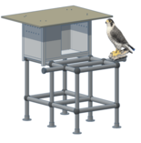 国内大学で初の試みとなるネイチャーポジティブの実践  深草キャンパスに…