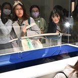 名刀「山姥切国広」特別展が開幕　足利で435年ぶり「本作長義」と並ぶ　…