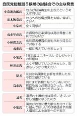 内向き論戦、対立回避