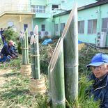 伸びやかな一年願い　那須烏山で門松作り追い込み　市シルバー人材センター